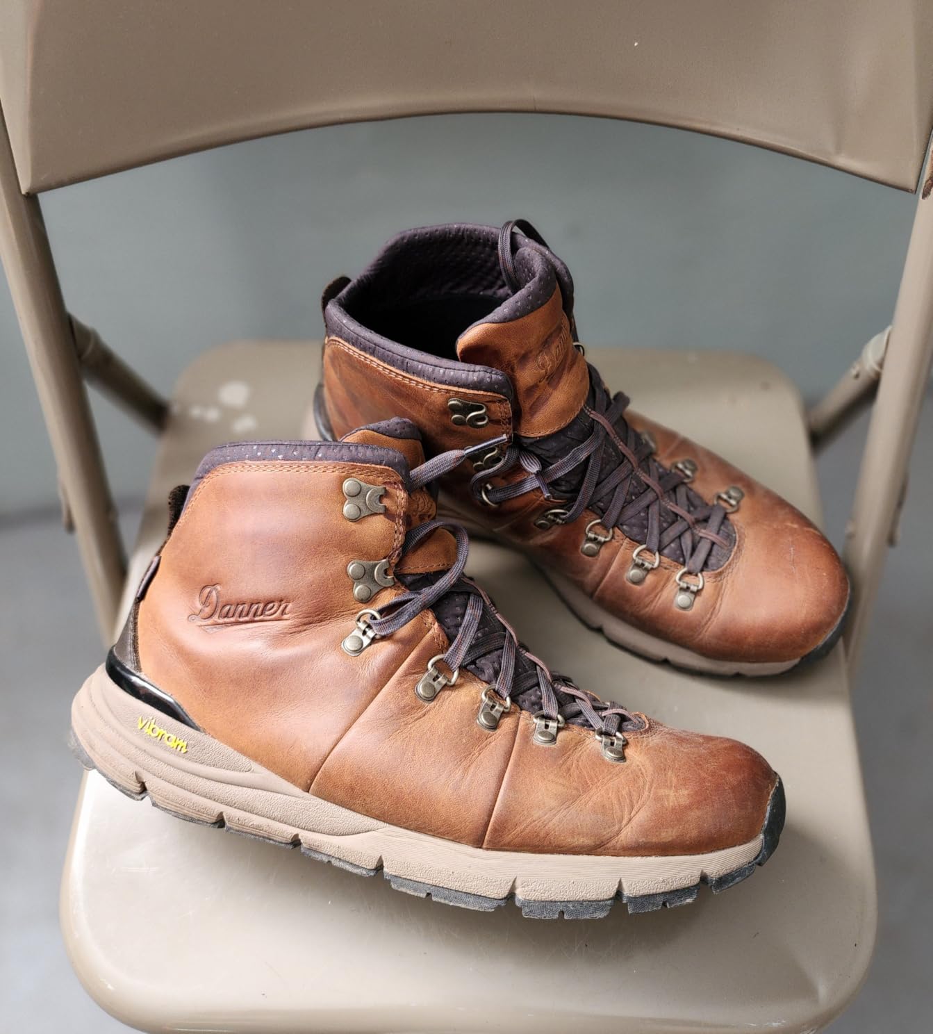 Danner Men's Mountain 600 4.5