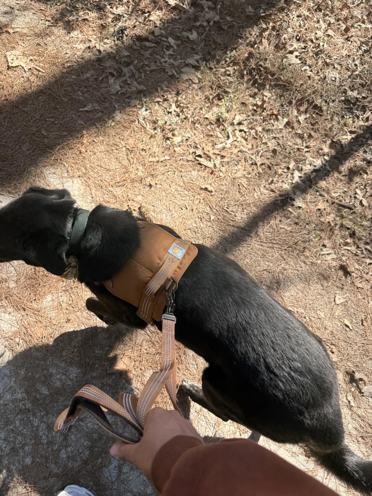 Carhartt Nylon Duck No Pull Dog Harness, Fully Adjustable Dog Harness with Quick Control Handle and Reflective Accents, Carhartt Brown, Medium customer photo 1