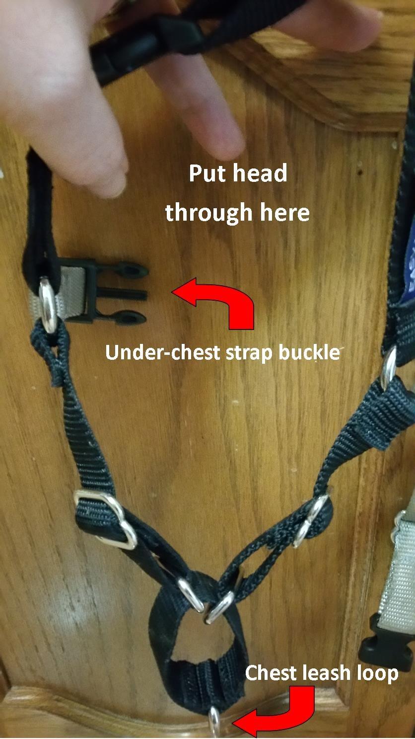 PetSafe Easy Walk No-Pull Dog Harness - Ultimate Harness to Help Stop Pulling - Pull-Free Walks - Take Control & Teach Better Leash Manners - Patented Martingale Loop Design - Gray, Medium/Large customer photo 1
