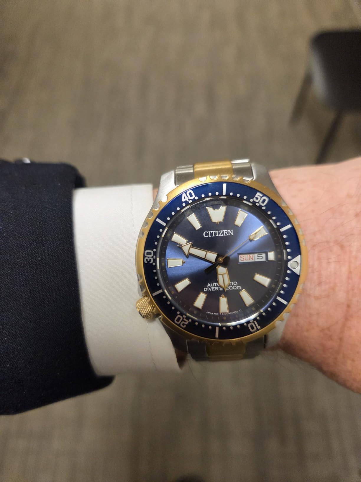 Citizen Men's Promaster Dive Fugu Eco-Drive Watch customer photo 1