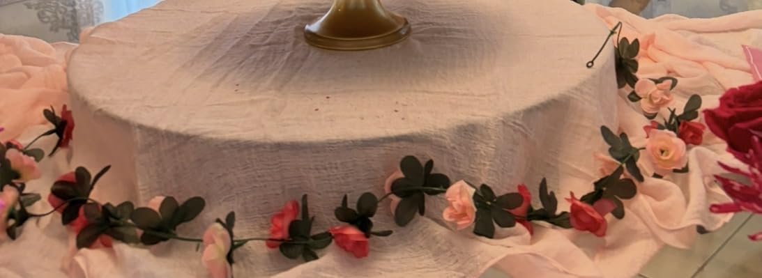 Keketoarrange Fall Thanksgiving Table Runner Terracotta Decorations 120 Inch 10 FT Rustic Burnt Orange Sheer Cheese Cloth for Baby Bridal Shower Friendsgiving Party Centerpiece Gauze Decor for Home customer photo 2