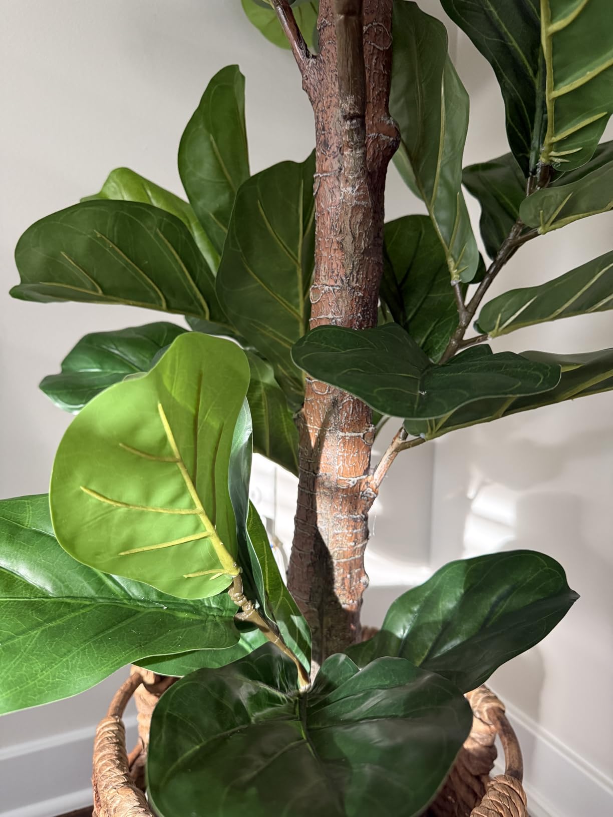 Aveyas 6ft Artificial Fiddle Leaf Fig Tree for Home Decor, 6 Feet Large Faux Plant Fake Ficus lyrata Silk Trees with Pot for Indoor Outdoor House Living Room Office (6 ft Tall) customer photo 2
