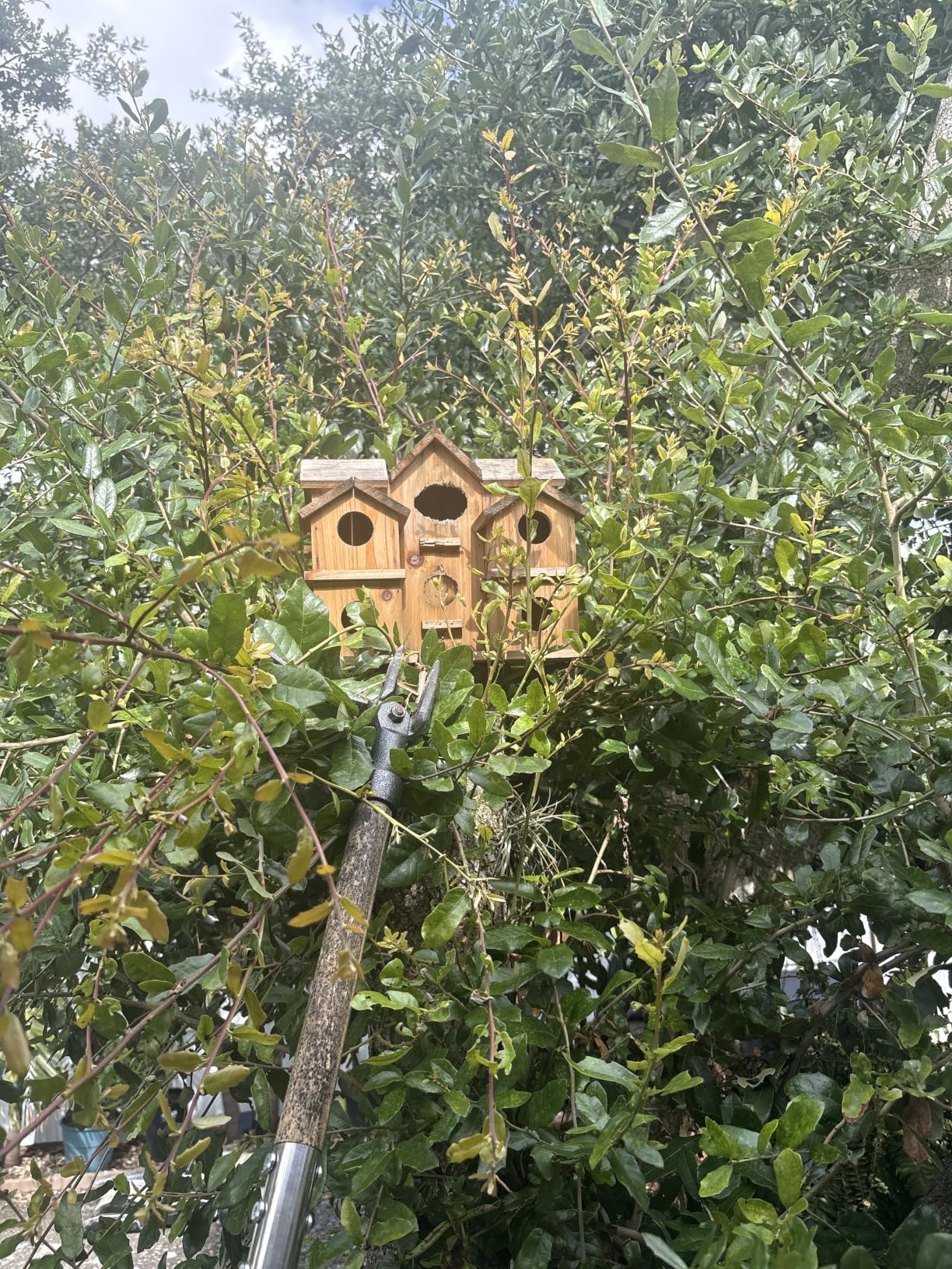Bird Houses for Outside 10 Hole Bird House Room for 10 Bird Families Large Bird House for Garden/Courtyard/Backyard Decor customer photo 1