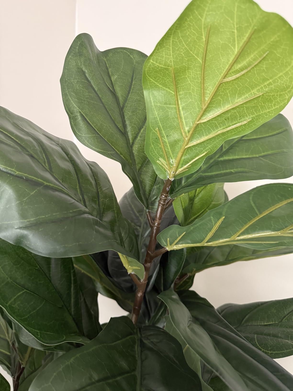 Aveyas 6ft Artificial Bird of Paradise Tree for Home Decor, 6 Feet Faux Floor Plant Fake Silk Banana Leaf Tropical Trees with Pot for Indoor Outdoor House Living Room (6 ft Tall) customer photo 1
