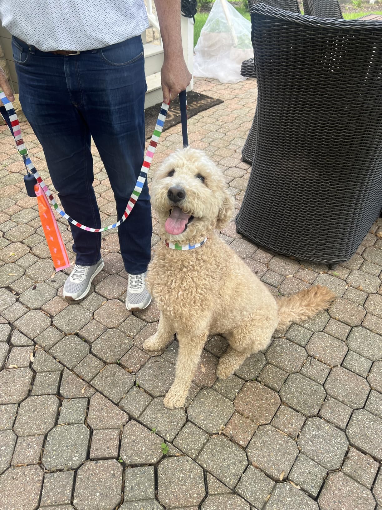Kate Spade New York 4.5ft Dog Leash, Heavy Duty for Female or Male Dogs, Cute Pet Lead With Gold Metal Hardware, Long for Small and Medium (Adventure Stripe) customer photo 1