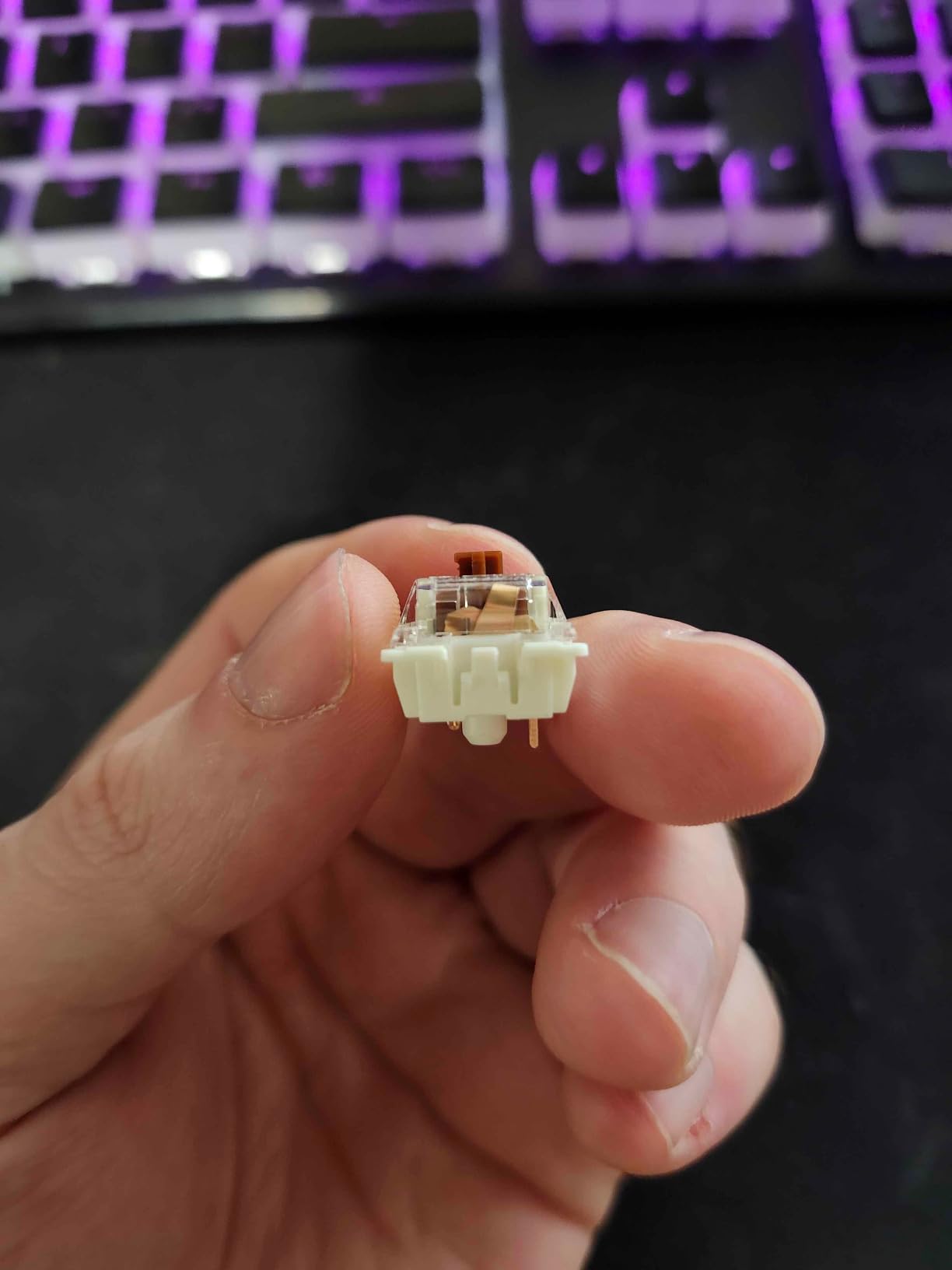 Gateron G Pro 3.0 Brown Switches for Mechanical Keyboard,3-Pin 55gf Tactile Feel/Pre-Lubed/Pin-Enhanced Switches(108pcs,Brown,3-Pin) customer photo 1