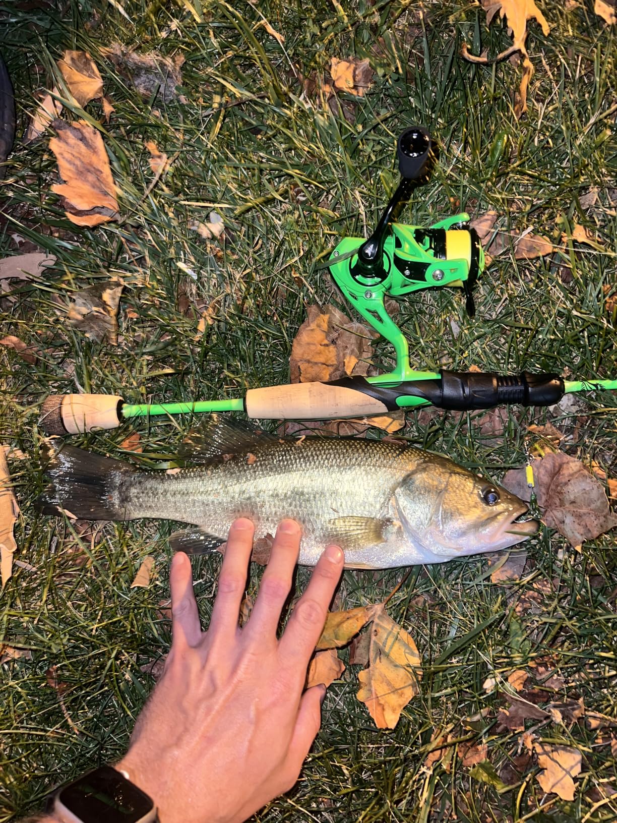 KastKing Zephyr Dual-Tip Fishing Rod and Reel Combo, Spinning & Baitcaster Combo, Dual Tips Section for Different Powers, IM6 Graphite 2-Piece Rod with Extra Tip, Sensitive & Powerful, Freshwater Fishing customer photo 2