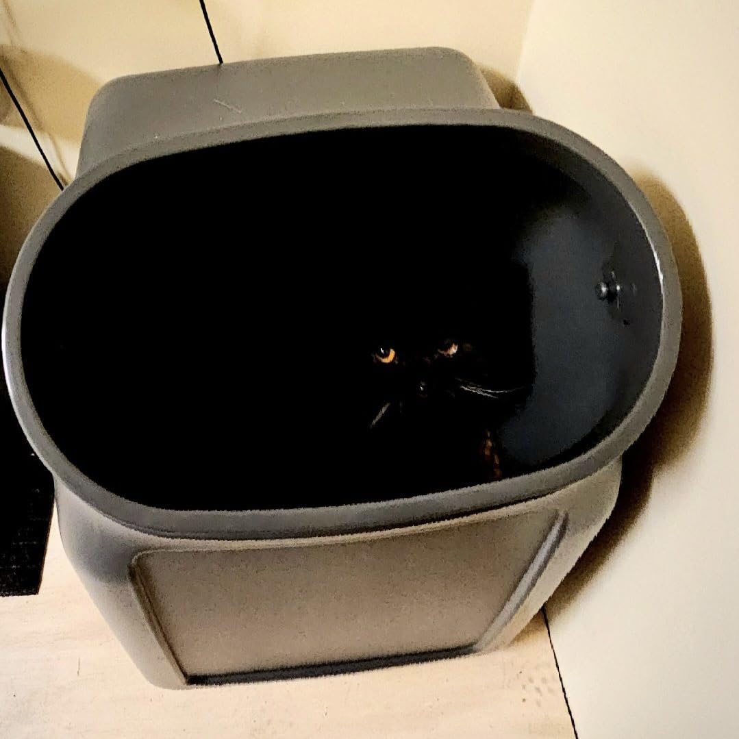Reddy by Petco Black Airtight Food Storage Container for Dogs Large 50 lbs. customer photo 1