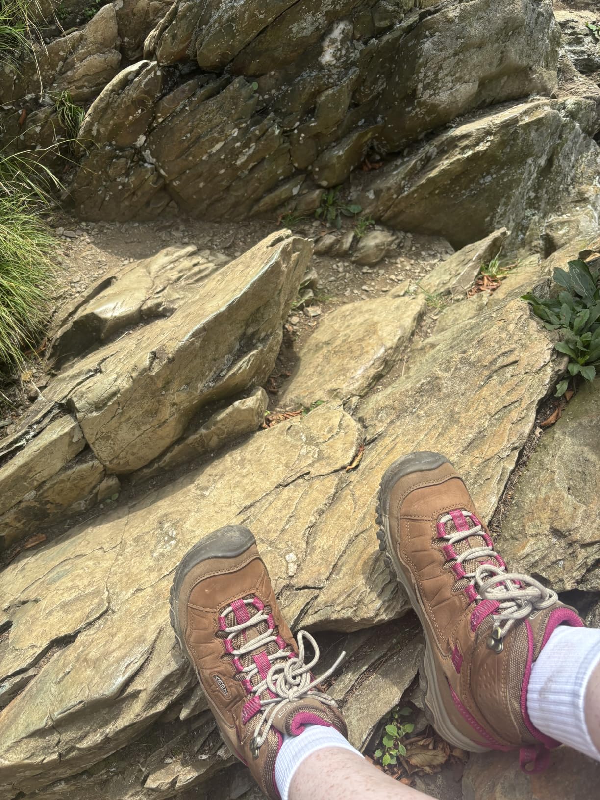 KEEN Women's Targhee 4 Mid Height Durable Comfortable Waterproof Hiking Boots customer photo 1