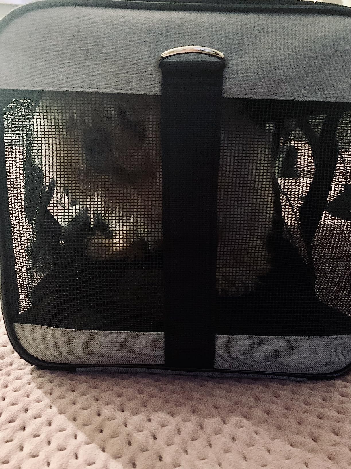 Conlun Cat Carrier Airline Approved, Soft-Sided Dog Carrier with Inner Safety Leash, Pet Transport Carrier for Small-Medium Cats Puppies up to 15 Lbs, Collapsible Travel Kitten Carrier Bag - Black M customer photo 2