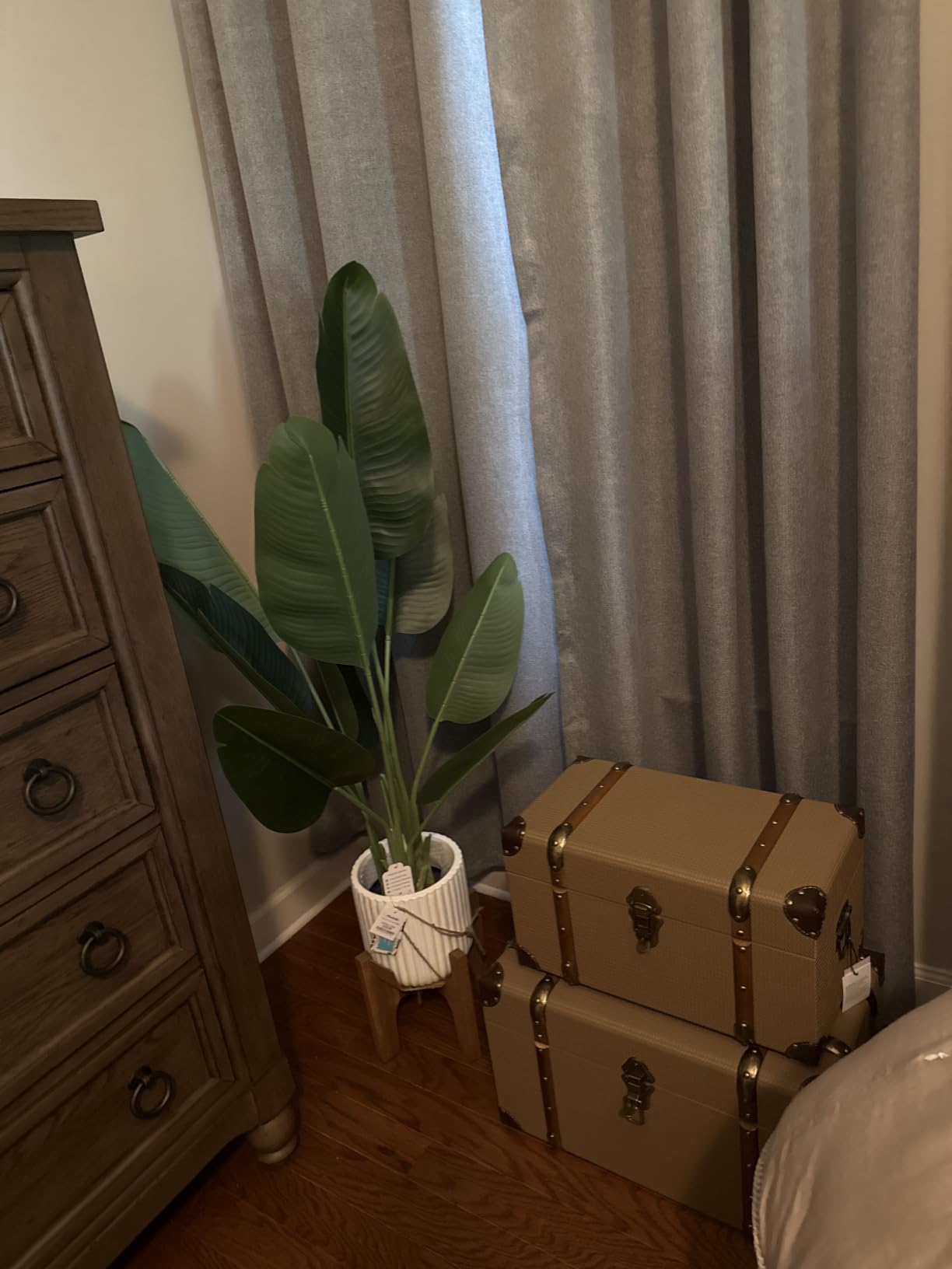 Lifelike Bird of Paradise Artificial Plant, 6ft Faux Banana Leaf Tree with 13 Trunks - Perfect Indoor Silk Floor Plant for Home Decor in Living Room, Office, and Bedroom customer photo 1