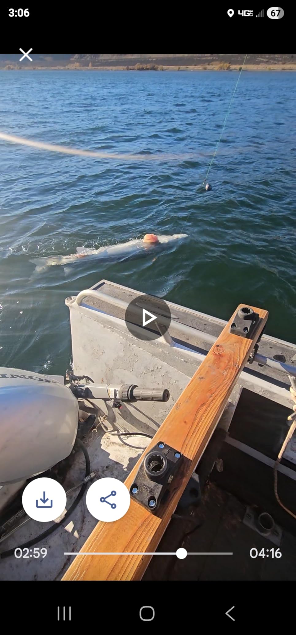ANCIENT MARINER Catfish Fishing Rods, 7'6