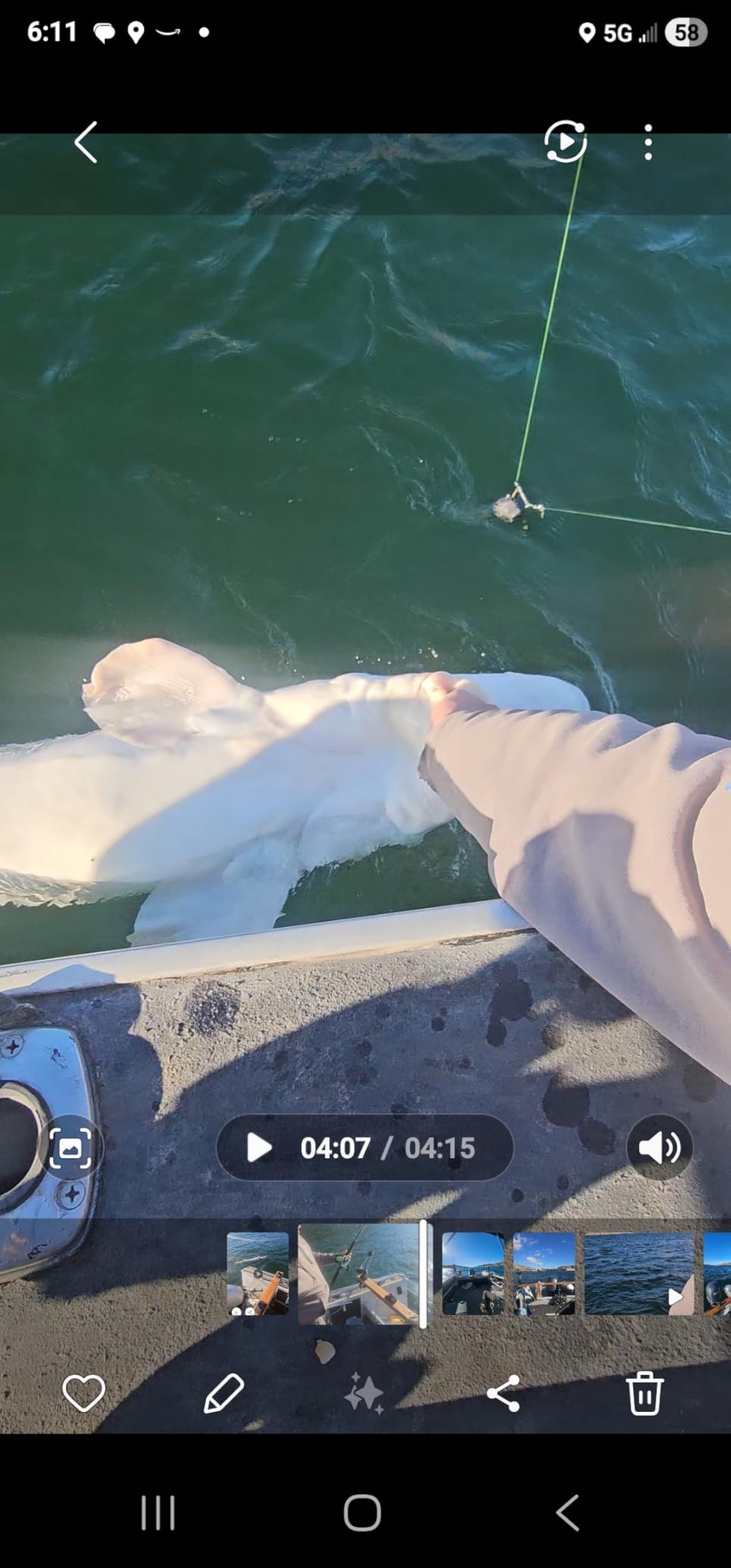 ANCIENT MARINER Catfish Fishing Rods, 7'6