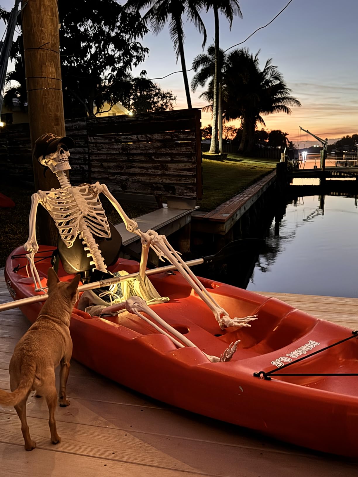 Wocst 6Ft Life Size Skeleton Posable Skeleton with Movable Joints Halloween Full Body Plastic Human Bones with 2PCS Black Crows for Halloween Indoor Outdoor Decor customer photo 1