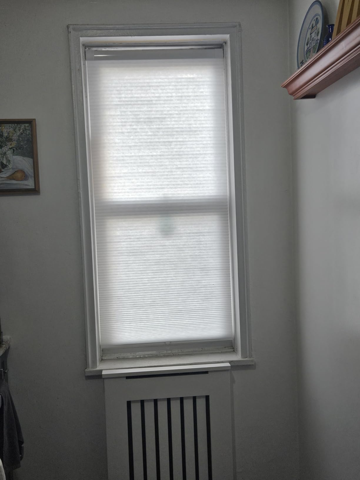 LazBlinds No Tools No Drill Cordless Cellular Shades, Light Filtering Honeycomb Shades for Home, Thermal Insulation Blinds for Windows, 22