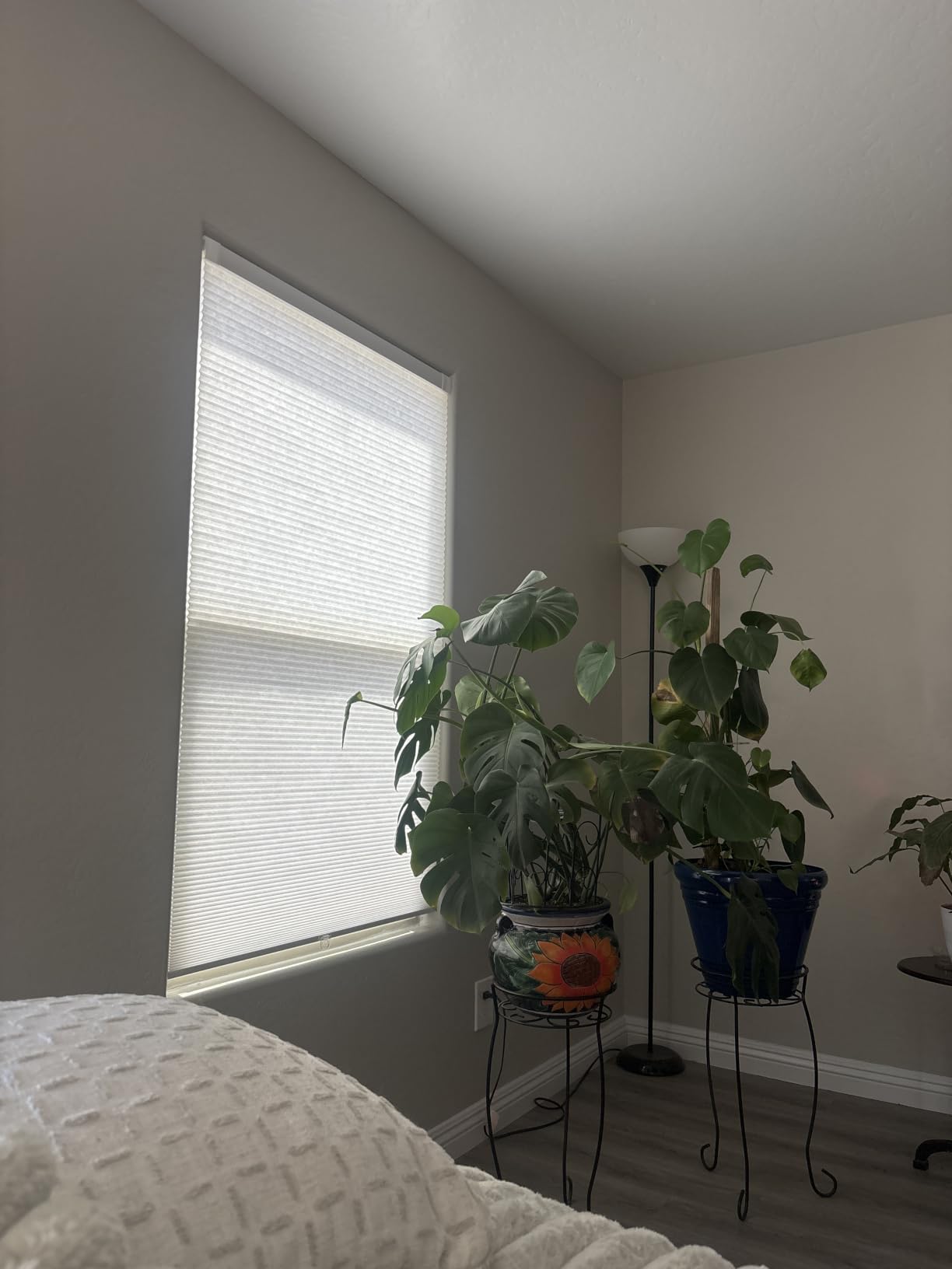LazBlinds No Tools No Drill Cordless Cellular Shades, Light Filtering Honeycomb Shades for Home, Thermal Insulation Blinds for Windows, 22