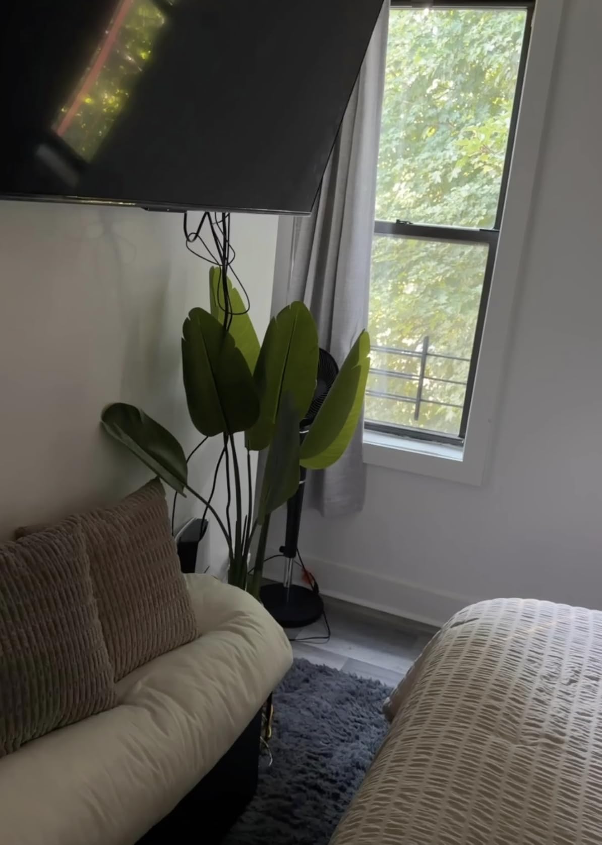 Bird of Paradise Plant Artificial 6ft,Faux Plants Indoor Tall with 12 Trunks - The Perfect Indoor Silk Floor Plant for Home Decor in Living Room, Office, and Bedroom customer photo 1
