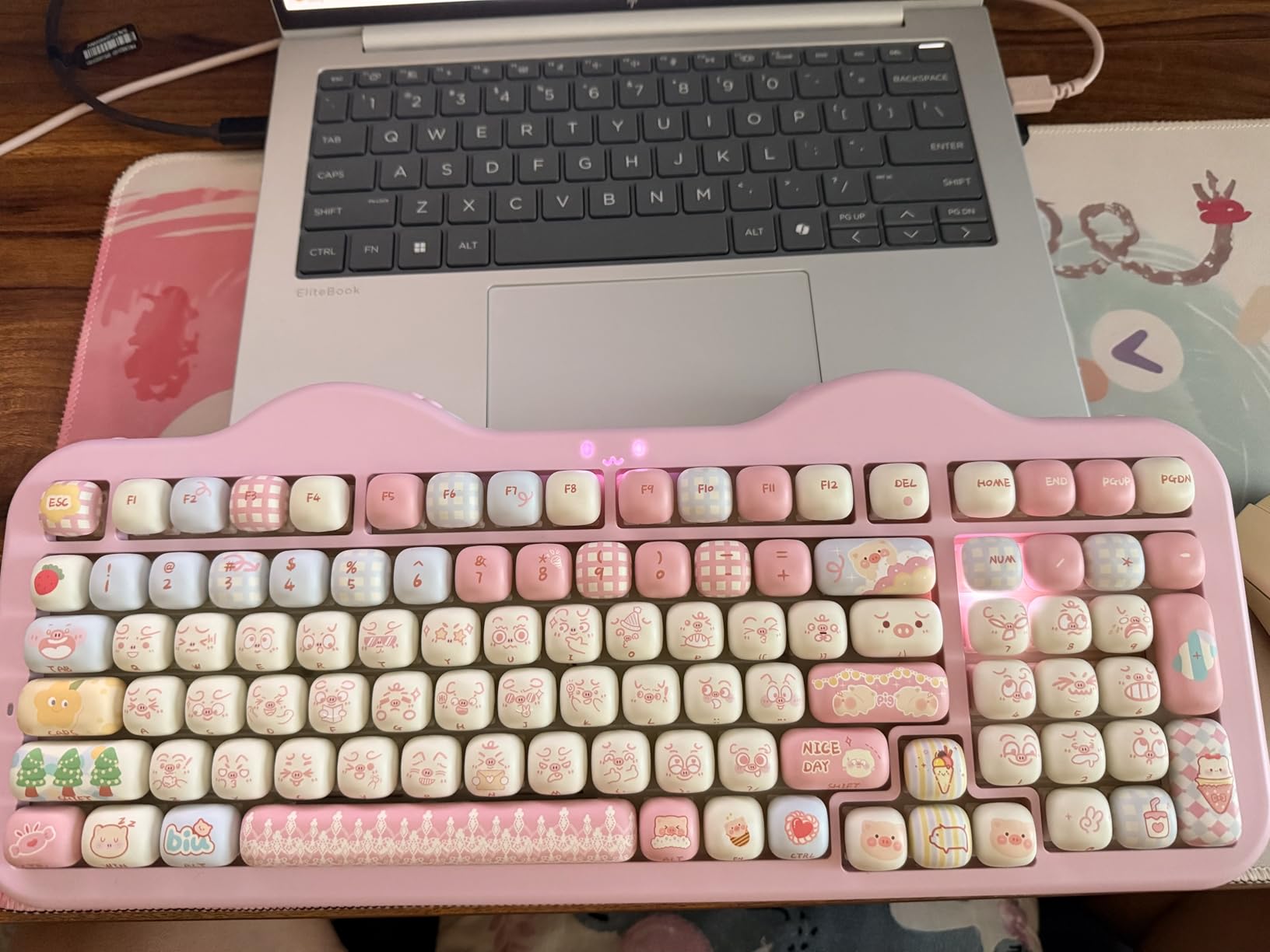 Akko PBT Keycaps Set, Bun Wonderland MOG Profile 138-Key Keycaps for Mechanical Keyboards customer photo 1