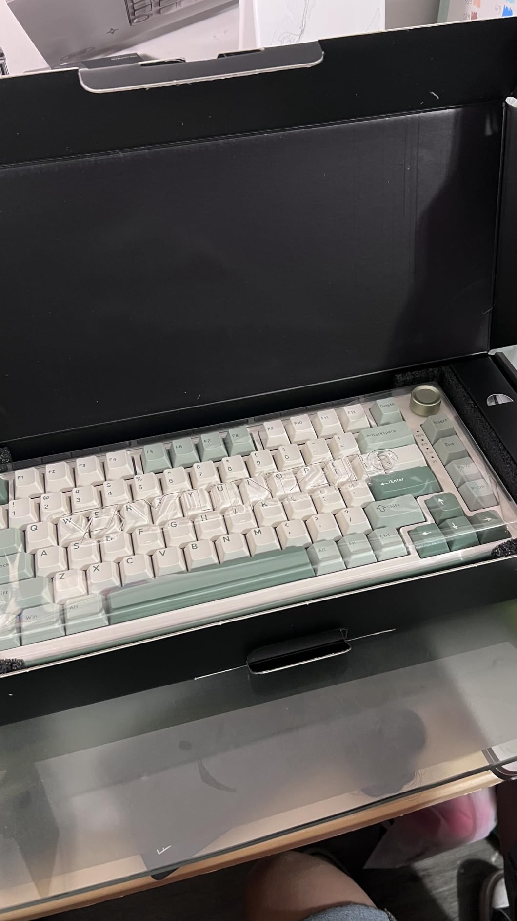 YUNZII B75 PRO Wireless Mechanical Keyboard, 75% Layout with Knob, Hot Swap Gasket Custom Structure, Creamy Pre-lubed Switches, RGB Backlit, BT/Type-C/2.4G for Win/Mac customer photo 2