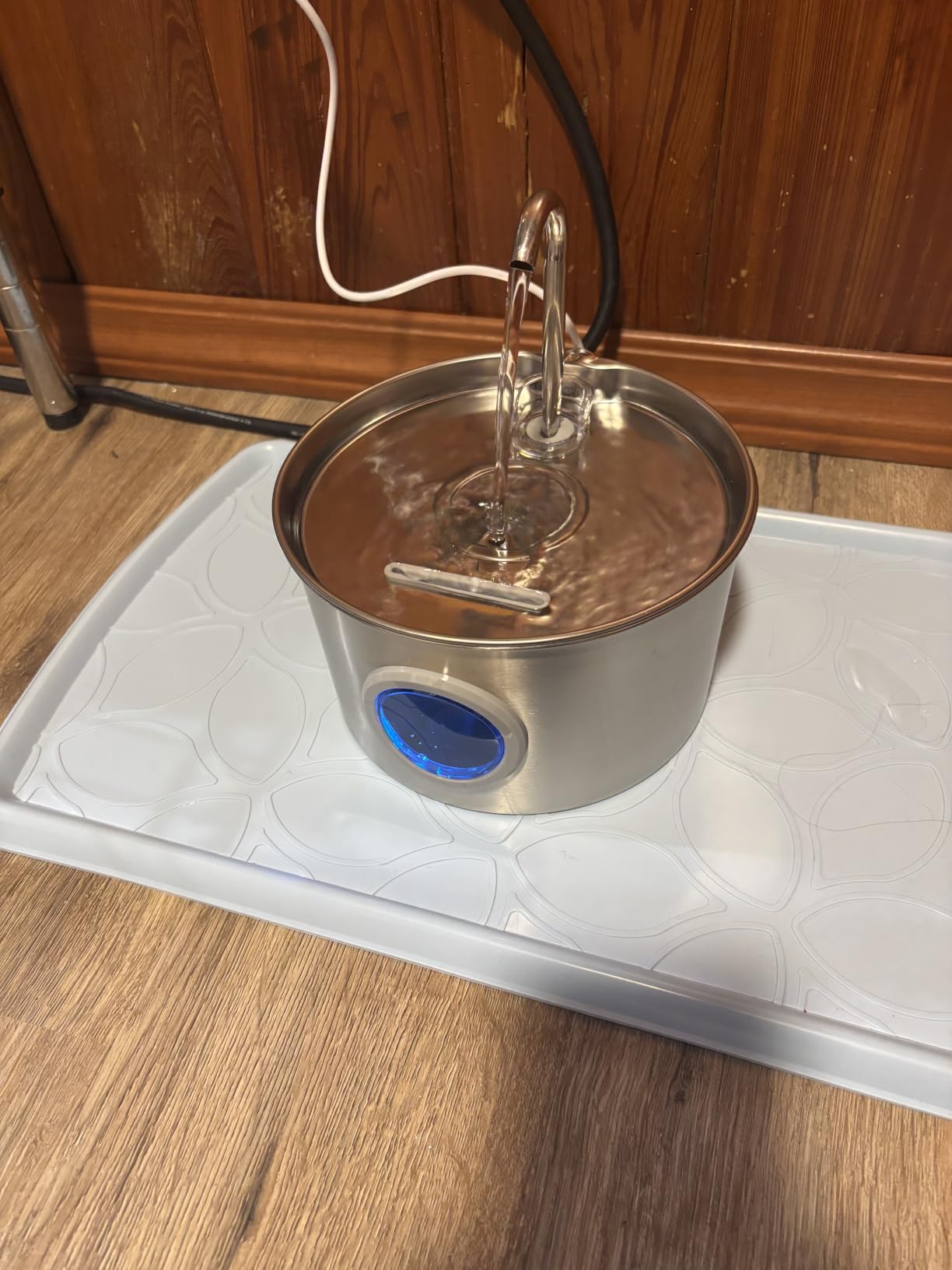Cat Water Fountain Stainless Steel: 74oz/2.2L Cat Fountain for Drinking - Pet Water Fountain for Cats Inside - Quiet Cats Water Bowl Dispenser - Kitty Drinking Fountains - for Pets& Small Animals customer photo 1
