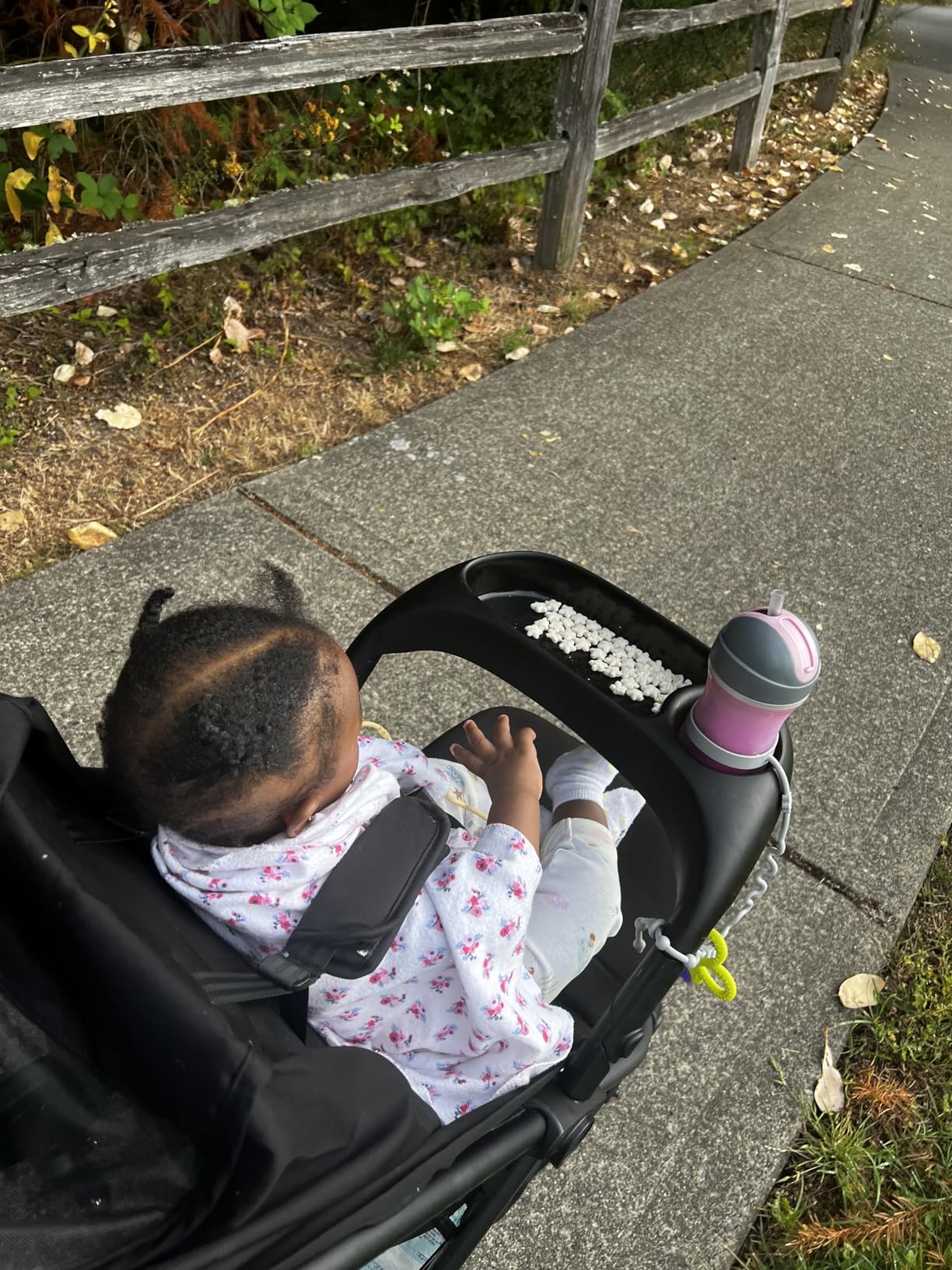 Momcozy ClickGo Lightweight Travel Stroller for Airplane, One-Click Fold | Large Extendable UPF 50+ Canopy, Suitable from Birth through Toddler Years customer photo 1