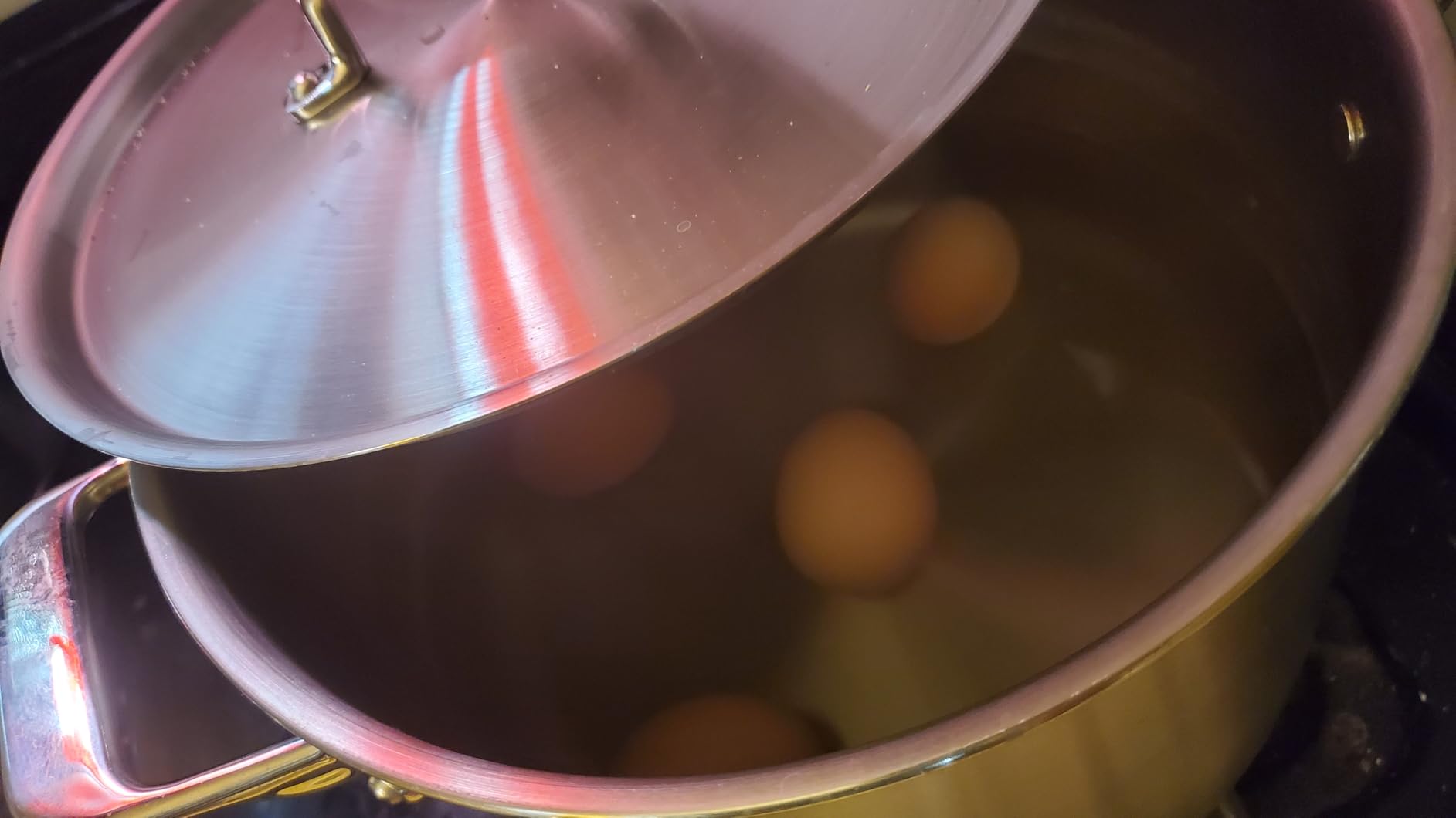 Misen 5-Ply Stainless Steel Stockpot - Large Cooking Pot for Boiling, Simmering & Stewing - Consistent, Even Heating - Durable, Dishwasher Safe - Oven-Safe to 800°F, Induction Ready - 6.75 QT customer photo 1