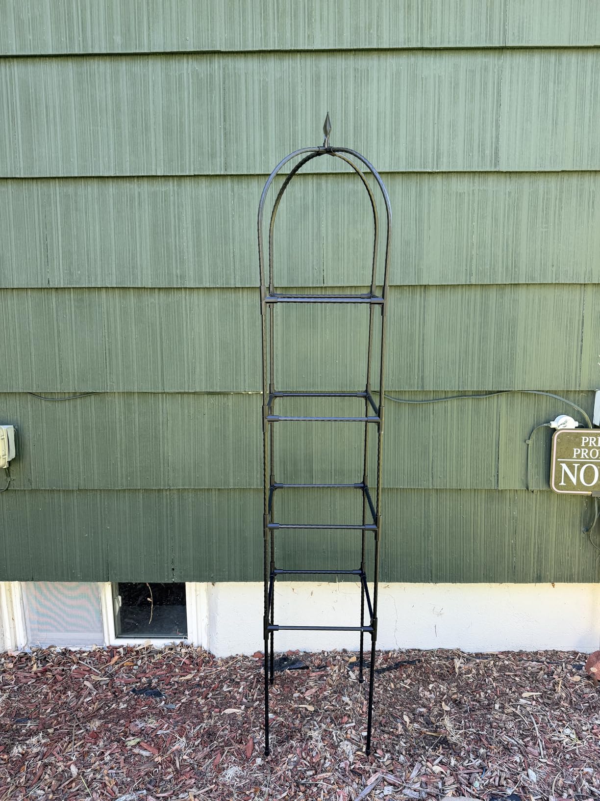 2 Pack Garden Obelisk Trellis for Climbing Plants, 6 FT Metal Rustproof Plant Support Rose Trellis, Tower Potted Cages for Flowers Fruits Vegetable Vines Indoor & Outdoor, Green(4 Tiers) customer photo 1