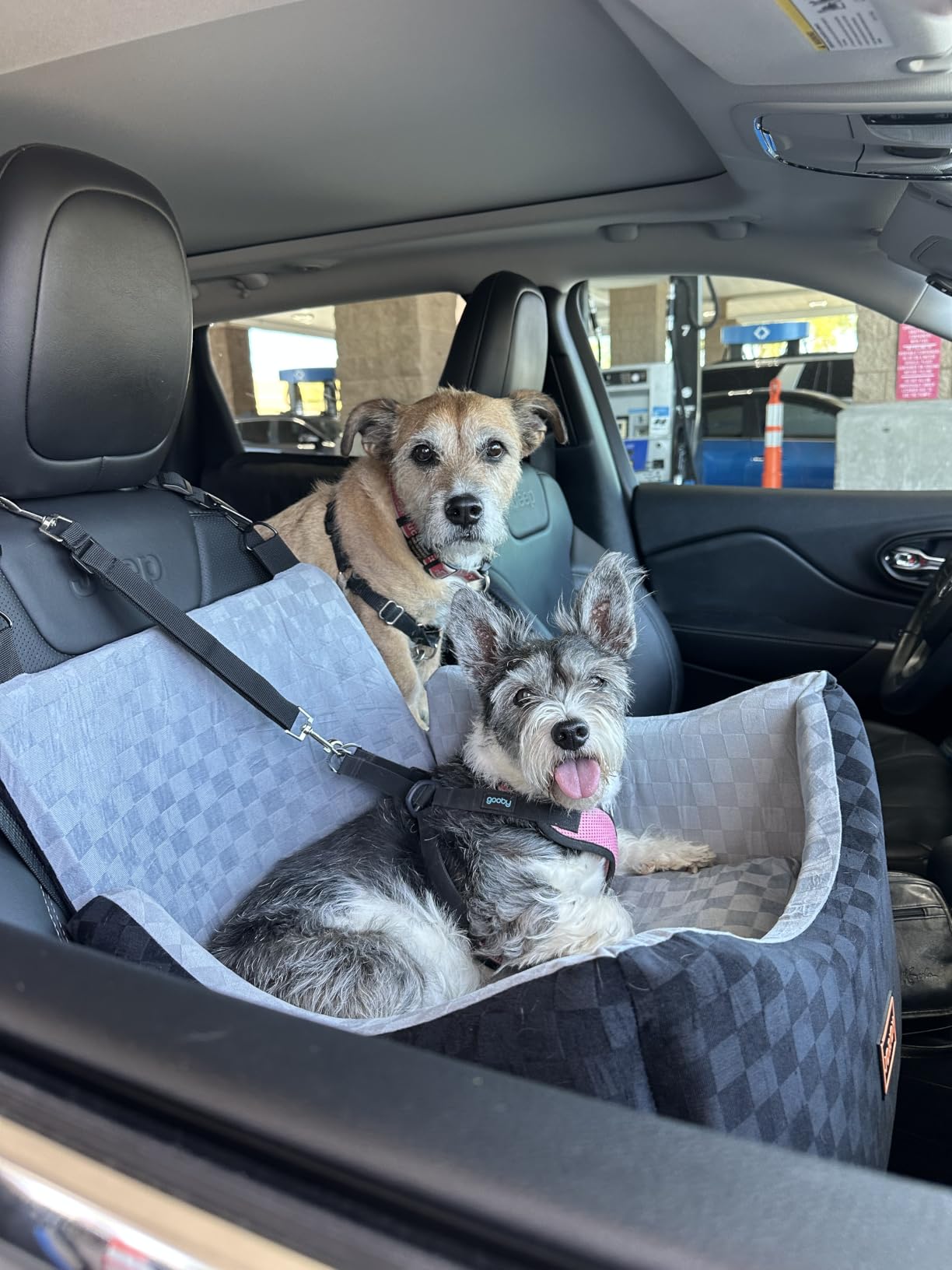 JOEJOY Elevated Dog Car Seat for Small/Medium Dogs up to 35 lbs, Memory Foam Booster Seat with Detachable Washable Cover, Travel-Safe Car Bed with Safety Belts & Storage Pockets, Grey customer photo 1