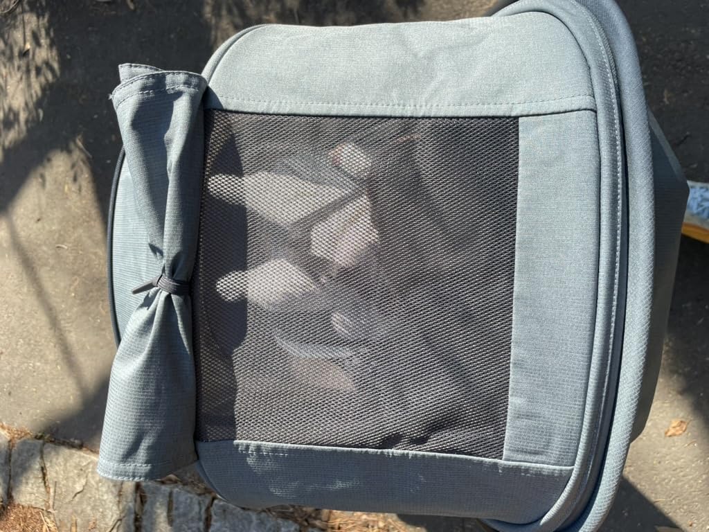 UPPAbaby Minu V3 Travel Stroller | Lightweight + Compact Design | One-Hand Fold + Unfold | from Birth + Overhead Compatible | Dillan (Stone Blue/Carbon Frame/Sand Leather) customer photo 2