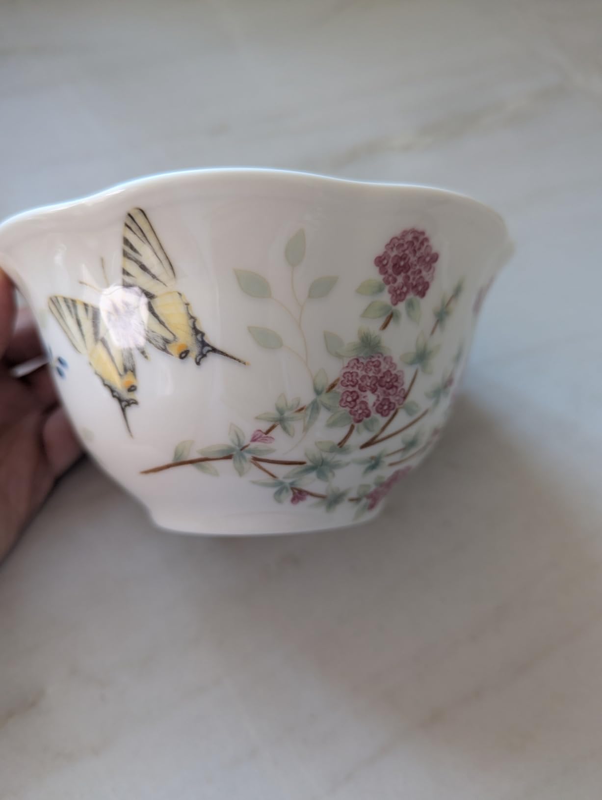 Lenox Porcelain Dinnerware Sets For 4, Butterfly Meadow Herbs 12-Piece Dinnerware Set, Service For 4, Microwave Safe Plates, White Dinner Plates and Bowls Sets, Dishes, Kitchen and Dining (12 Piece) customer photo 1