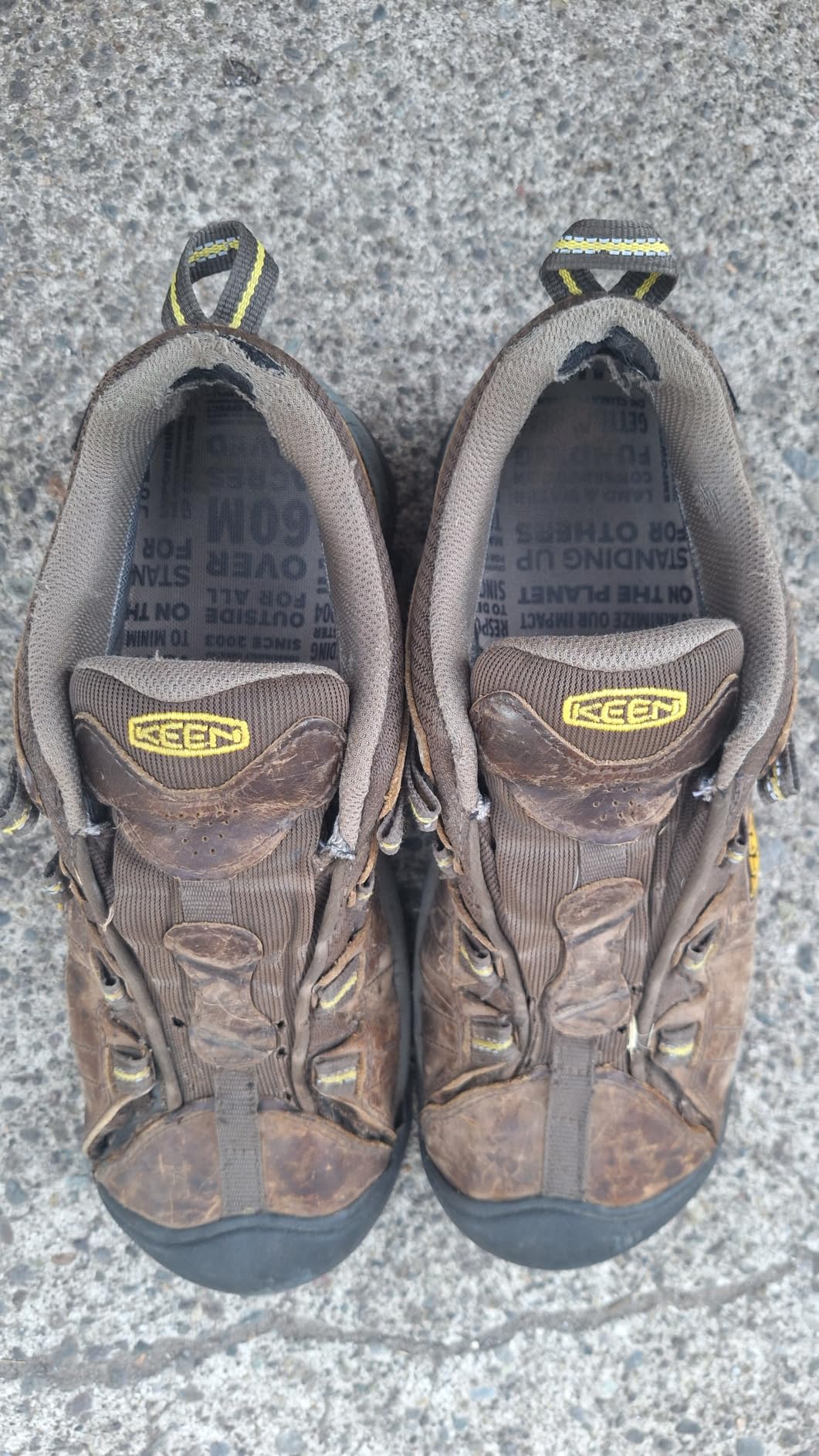 KEEN Men's Targhee 2 Low Height Waterproof Hiking Shoes customer photo 2