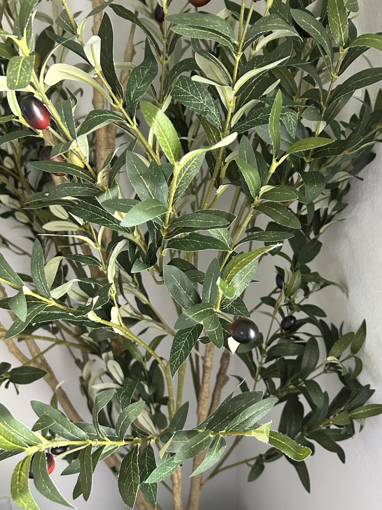 LYERSE Olive Tree 6ft - Olive Trees Artificial Indoor with Large Olive Branches and Lifelike Fruits - Faux Olive Tree for Modern Home Office House Living Room Decor customer photo 1