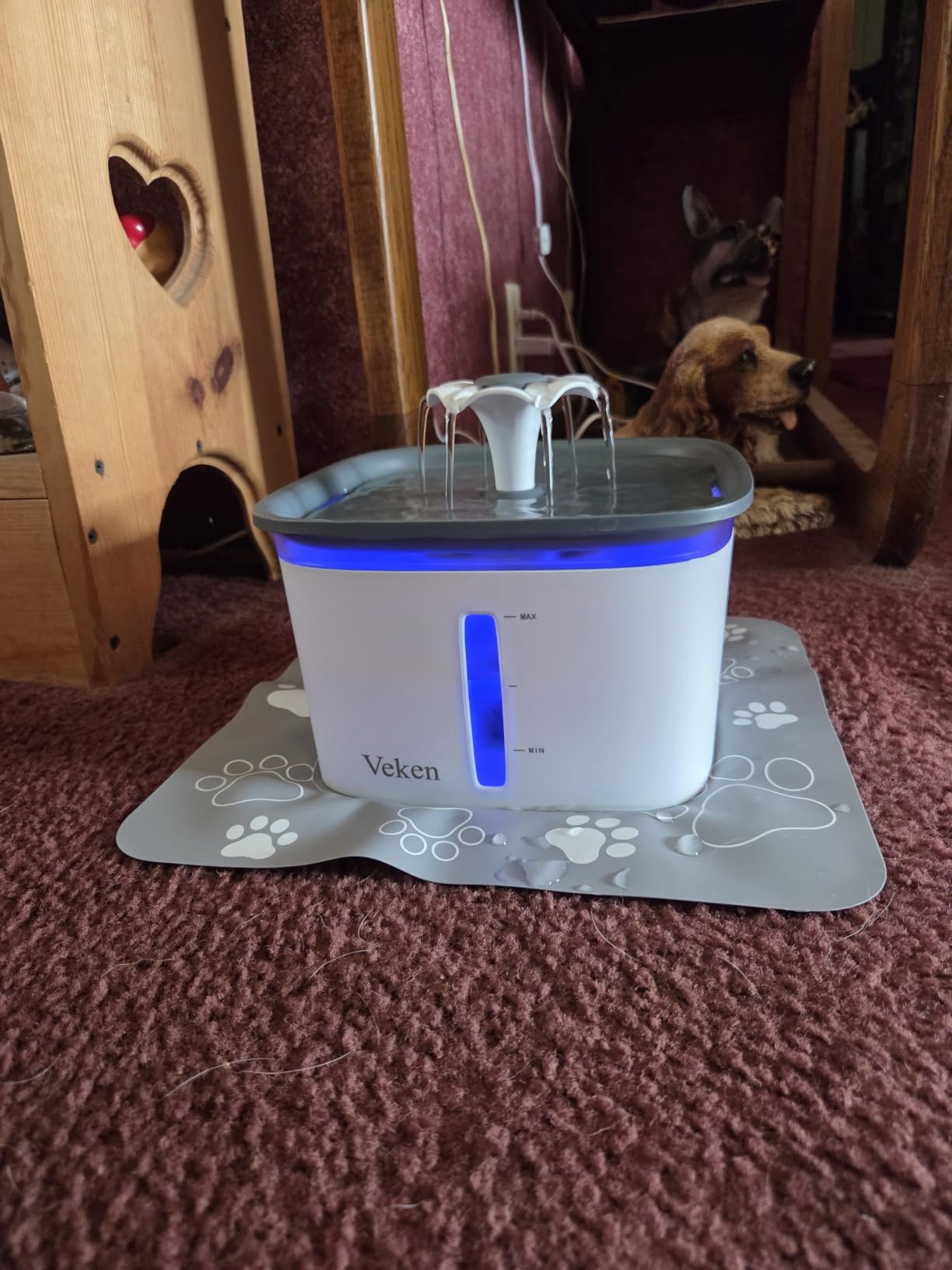 Veken Innovation Award Winner 95oz/2.8L Cat Water Fountain with Stainless Steel Lid, Automatic Pet Fountain Dog Water Dispenser with Replacement Filters for Cats, Dogs (Silver, Stainless Steel) customer photo 2