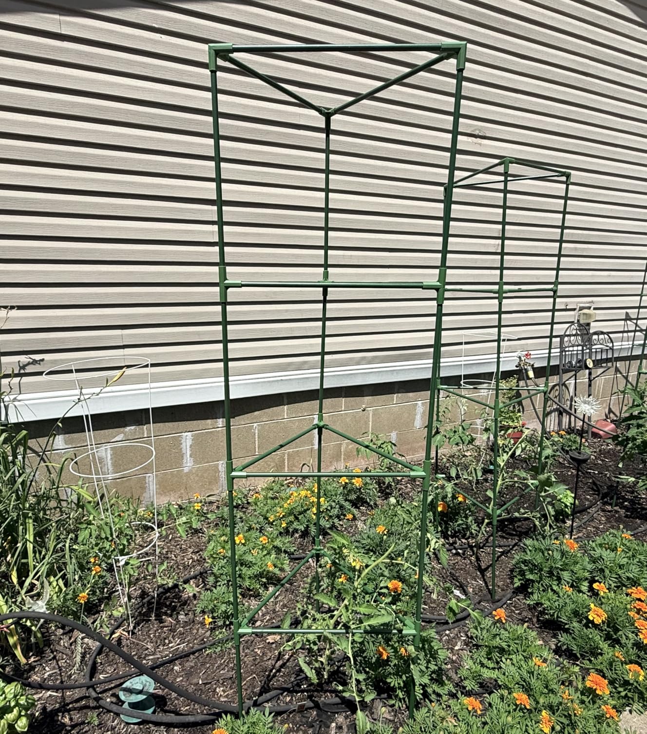 ZeeDix 4 Pack Heavy Duty Tomato Cages 65 Inch, Large Tall Plant Support Stakes for Climbing Plants Heavy Vegetables, Adjustable Tomato Trellis for Pots & Outdoor Raised Garden Beds customer photo 1