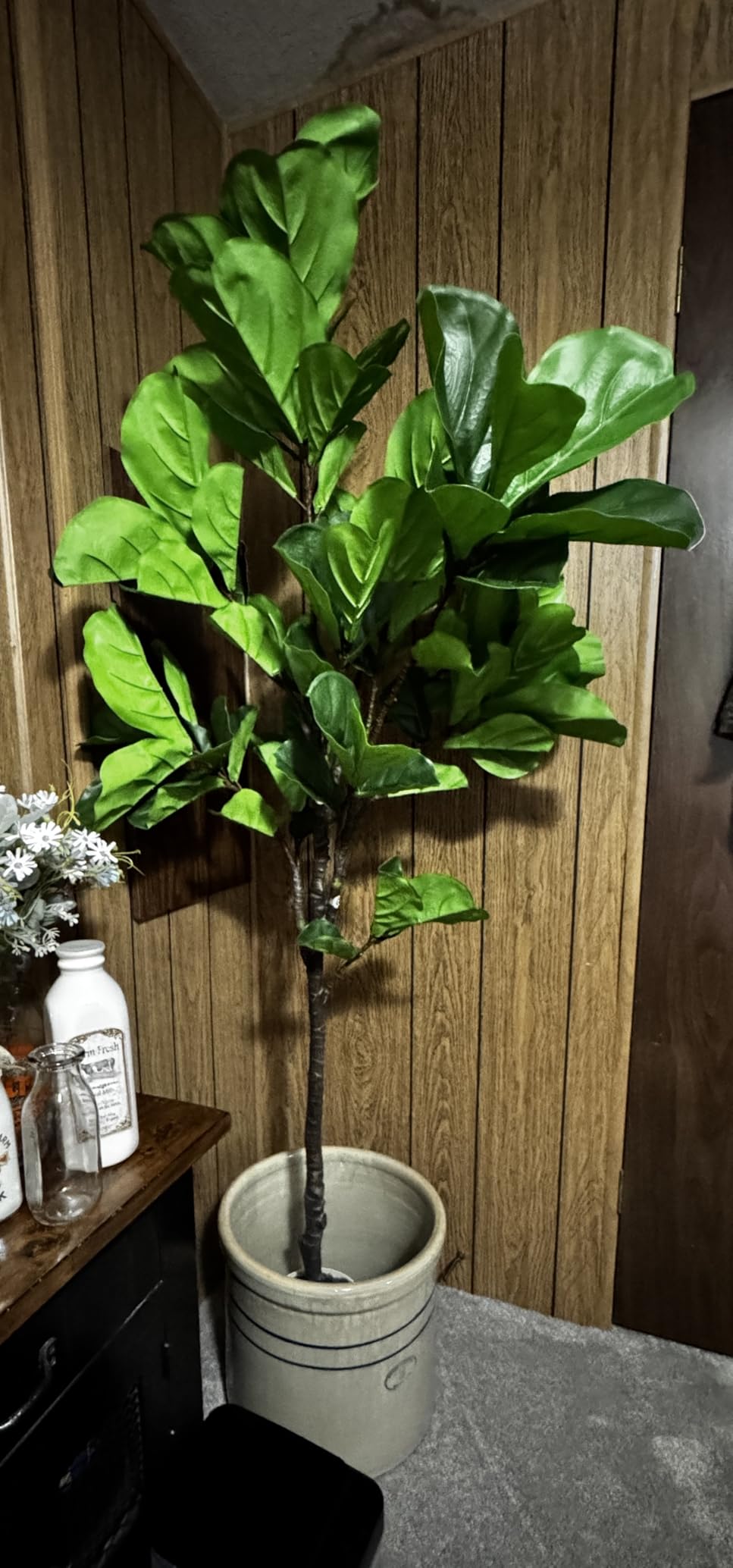 Artificial Fiddle Leaf Fig Tree 6FT - Large Fake Trees with White Planter, Tall Faux Ficus Lyrata Tree Floor Plants for Indoor Home Decor Office Living Room Housewarming Gift, 1Pack customer photo 1
