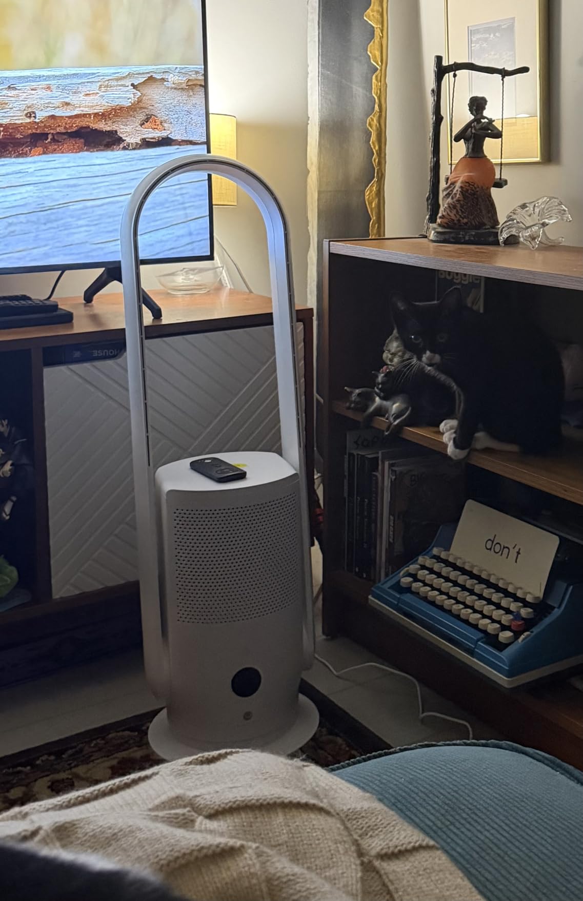 Bladeless Tower Fan and Air Purifier Combo, Quiet Tower Fan with Remote, Touch Control, 9 Speeds, 8H Timer, HEPA Filter 99.97%, 90° Oscillation, Floor Fan for Home Office, White CR022D customer photo 1