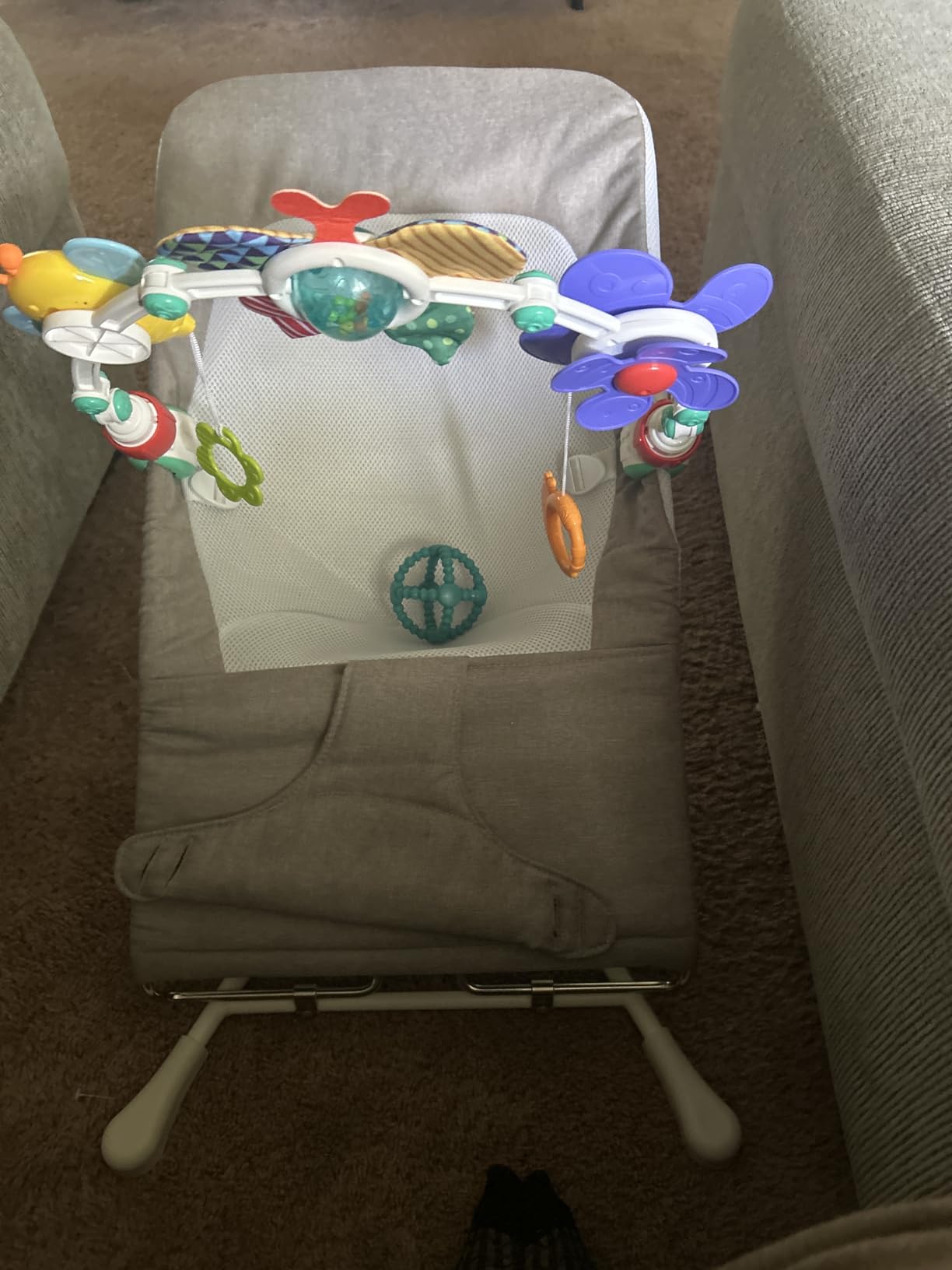 Baby Delight Highland Baby Bouncer | Infant | 0 - 6 Months | 3-Position Recline | Mocha Tweed customer photo 1