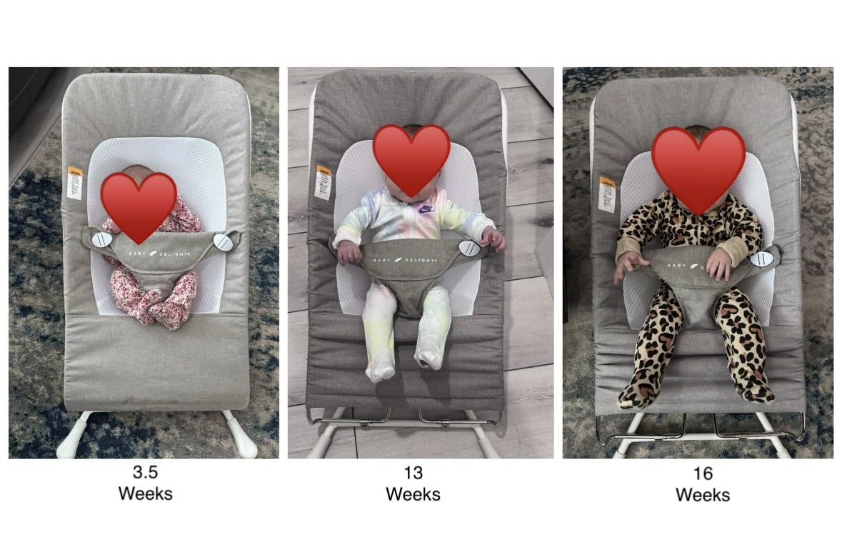 Baby Delight Highland Baby Bouncer | Infant | 0 - 6 Months | 3-Position Recline | Mocha Tweed customer photo 2