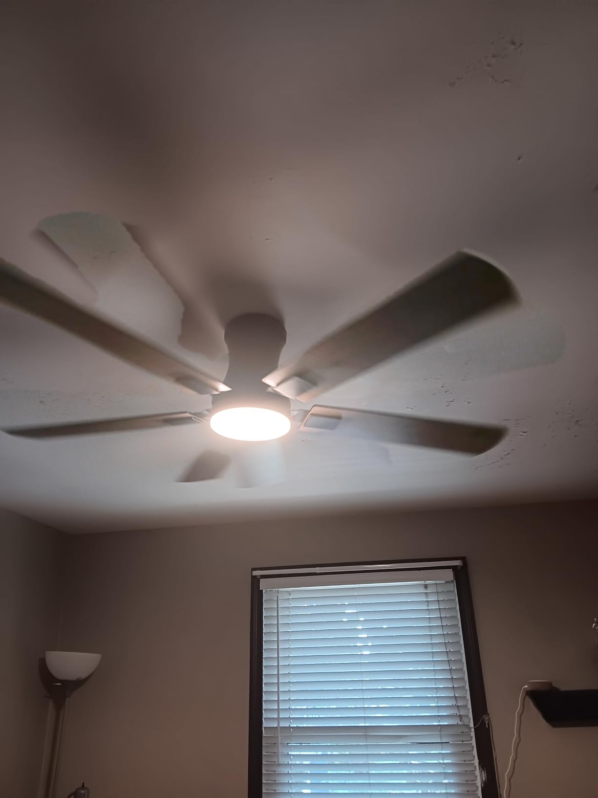 Fanbulous 52 inch ceiling fan with light, Low Profile Ceiling Fan with Light, App&Remote Control, Dimmable LED Light, Flush Mount Ceiling Fan for Indoor Bedroom Living Room, Quiet DC Motor, Black customer photo 2