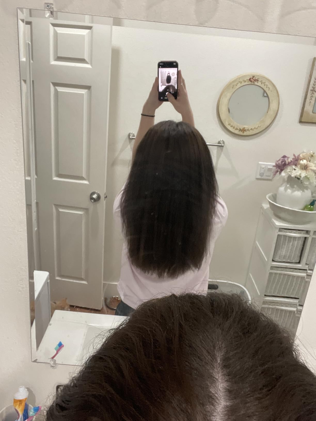 Shark SilkiPro Straight Wet-to-Dry Hair Straightener + Rapid Blow Dryer with 3 Interchangeable Combs (HT400PK) customer photo 1