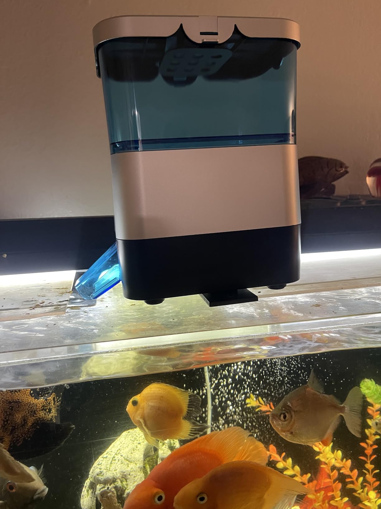 Pawfly Automatic Fish Feeder for Pond, 2.8 L Large Capacity Pond Fish Feeder with Timer, Adjustable Auto Fish Food Dispenser, Moisture-Proof Outdoor Koi Fish Feeder, Battery Powered (Not Included) customer photo 2