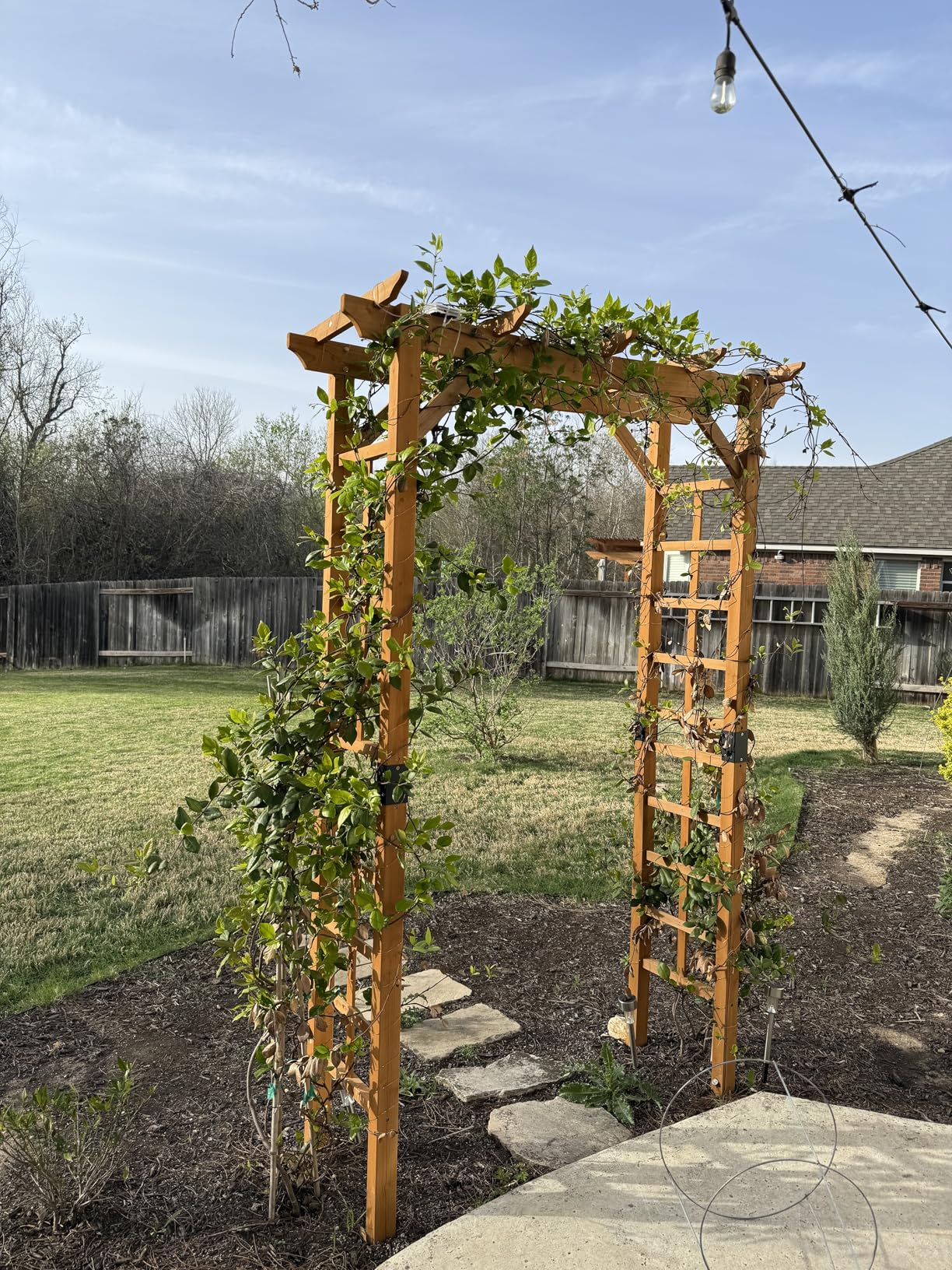 Giantex 7FT Wood Garden Arbor Trellis, Wooden Wedding Arch for Ceremony Party, Outdoor Archway Pergola for Climbing Plants, Pathway, Yard, Garden Decor, Easy Assembly (Dark Brown, 55''W x 85''H) customer photo 2