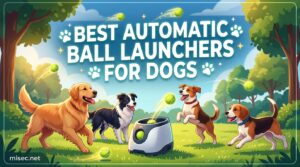 Best Automatic Ball Launchers for Dogs