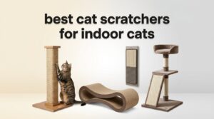 best cat scratchers for indoor cats