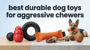 best durable dog toys for aggressive chewers