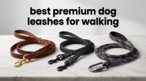 best premium dog leashes for walking