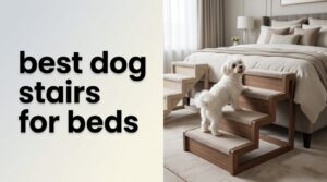 best dog stairs for beds