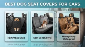 best dog seat covers for cars