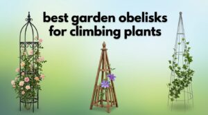 best garden obelisks for climbing plants