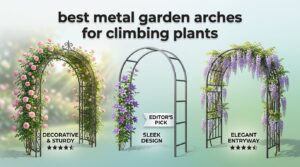 best metal garden arches for climbing plants